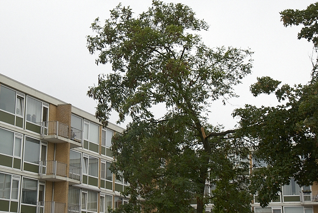 2011/177/GB 20110711 002 Stormschade Einsteinlaan.jpg